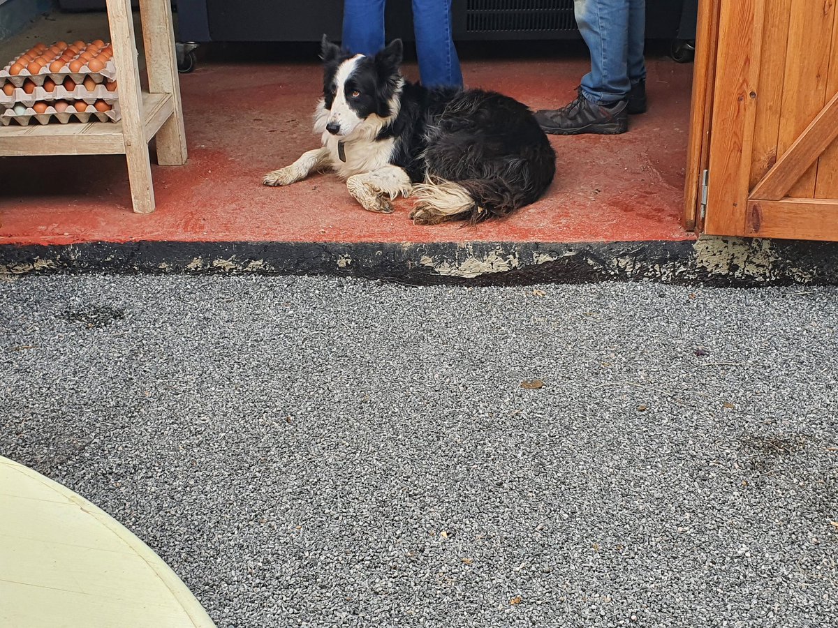 Can feel a winter warmer coming on this weekend. Slow-cooked <a href="/PastureForLife/">Pasture For Life</a> beef brisket from just down the road at <a href="/BrightleighF/">Brightleigh Farm</a> in Outwood with a glass of hearty red (😋). Great to see Penny, Nigel and Mac again. 🐮 #StayLoyaltoLocal