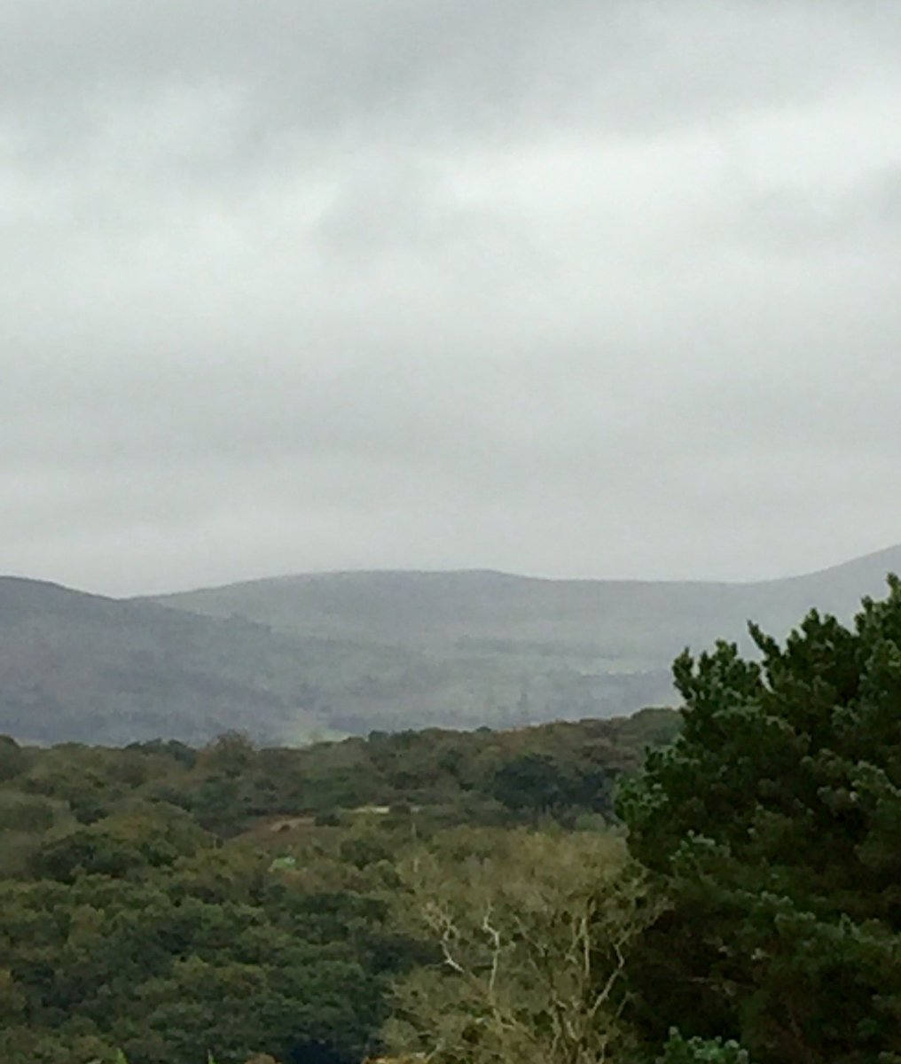 IechydDaBangor's tweet image. As Yr Wyddfa decided to hide in the clouds the #Fit4TheFuture team would have missed the spectacular views for the   #SnowdonChallenge that should be today. So for the #SnowdonFromAfar challenge I opted for a blustery coastal walk instead! @CavellTrust @HazelPowell11 @PaulaHopes1