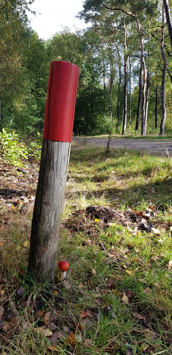 Deze is leuk, kabouters hebben de rode wandelroute ook gemarkeerd #WisselseVeen #emst