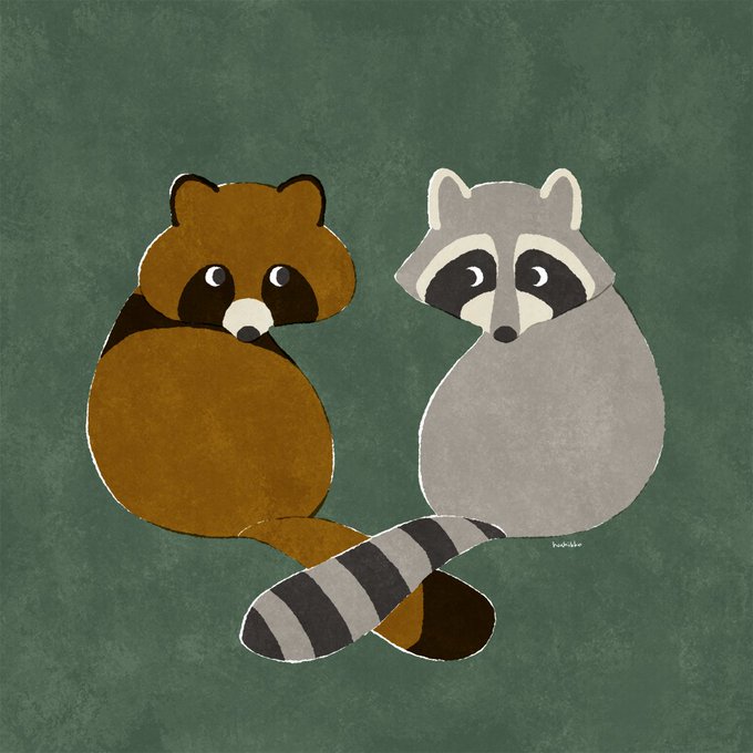アライグマのtwitterイラスト検索結果