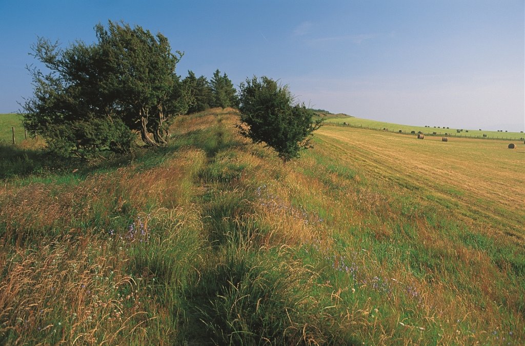 OFFA'S DYKE ASSOCIATION - CYMDEITHAS CLAWDD OFFA tweet media