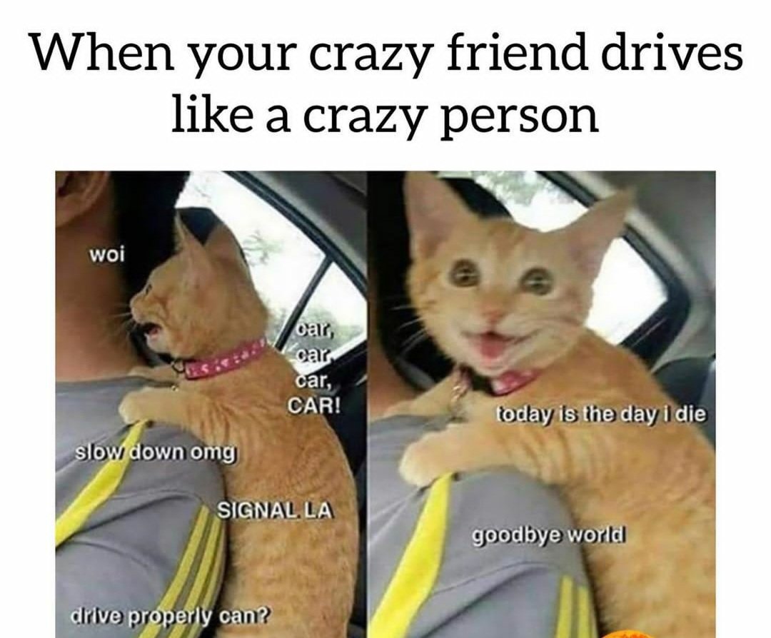 TrafficSahayak's tweet photo. Ever felt like this? 😄
.
.
#SaturdayMotivation #Friends #driving #mentalhealthday #COVID__19 #trafficviolations #reportviolation #TrafficSahayak https://t.co/YkkMVXyeeR