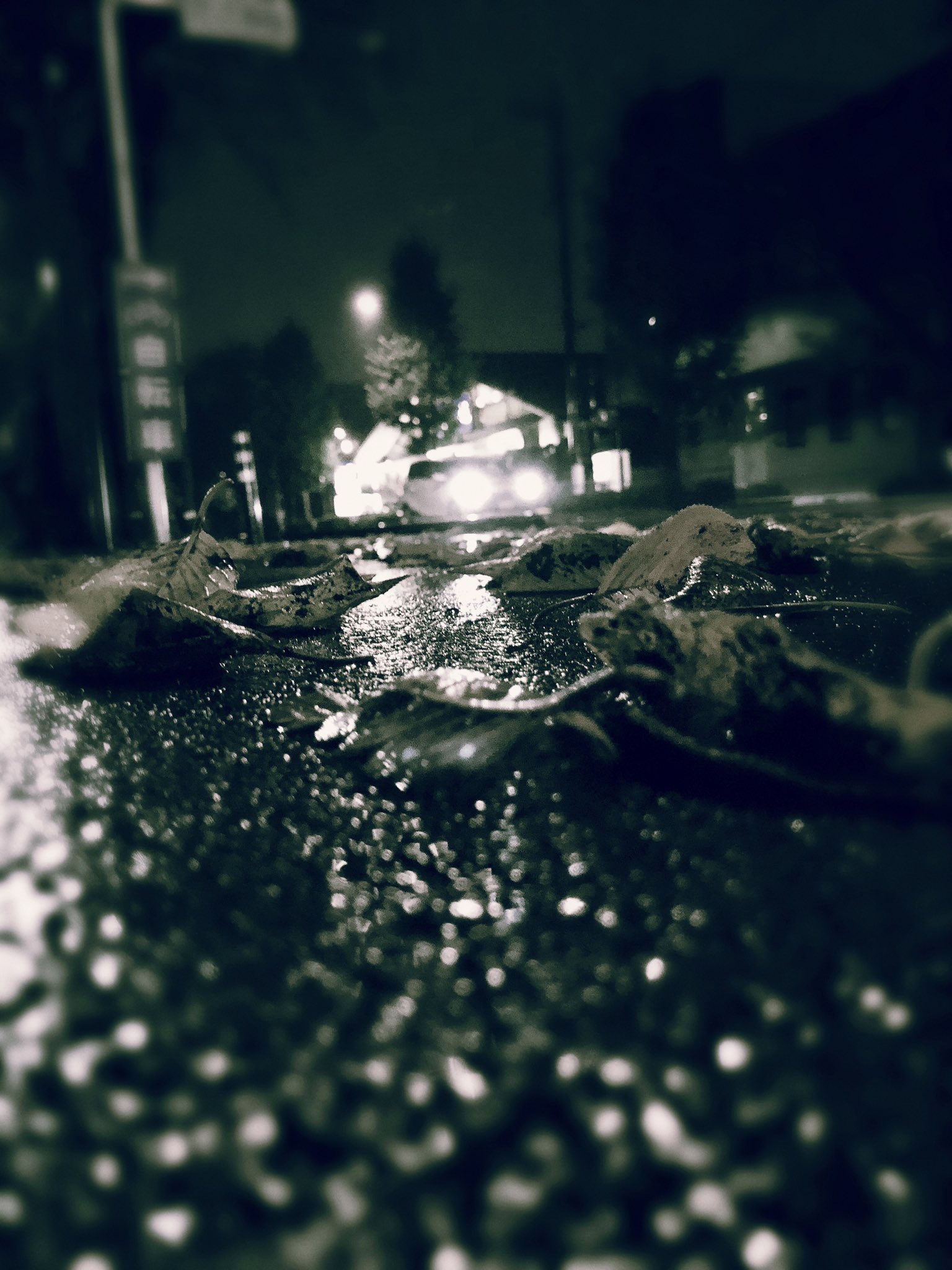 猫好き やんちゃオヤジ 雨音の風景 写真好きな人と繋がりたい 雨音 雨の夜景 T Co Gfqdz7mdkc Twitter