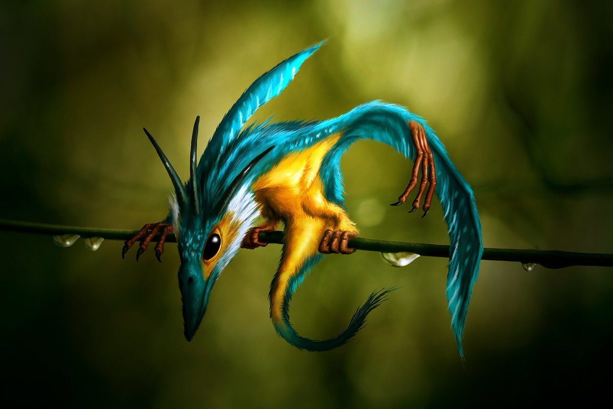 (2/15) Bethan eni o Aron Elai. Perhaps one of our most beautiful dragons. They spend their lives next to the rivers that flow through southern Wales. They can be glimpsed plunging into the water in pursuit of fish, a flashing blur of gold and turquoise.