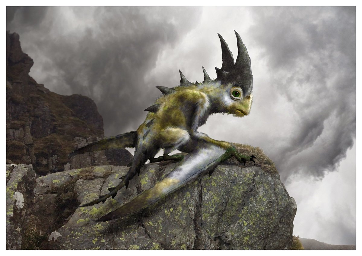 (8/15) Tryfan CoronFound only on the steep slopes of Tryfan, this large ambush-predator blends so perfectly with its surroundings that one could walk within a few metres yet never see it. Occasionally spotted performing elaborate aerial displays above the mountain’s summit