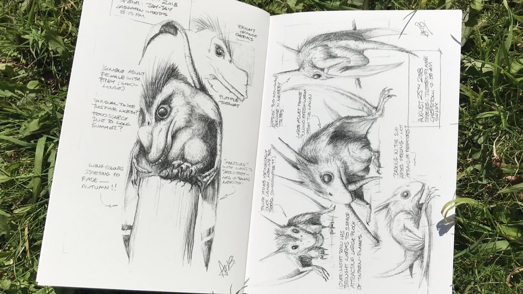 (14/15) The paintings you’ve seen in this thread are the result of many hours spent studying these elusive creatures in the wild. My observations are recorded in field-journals like this.