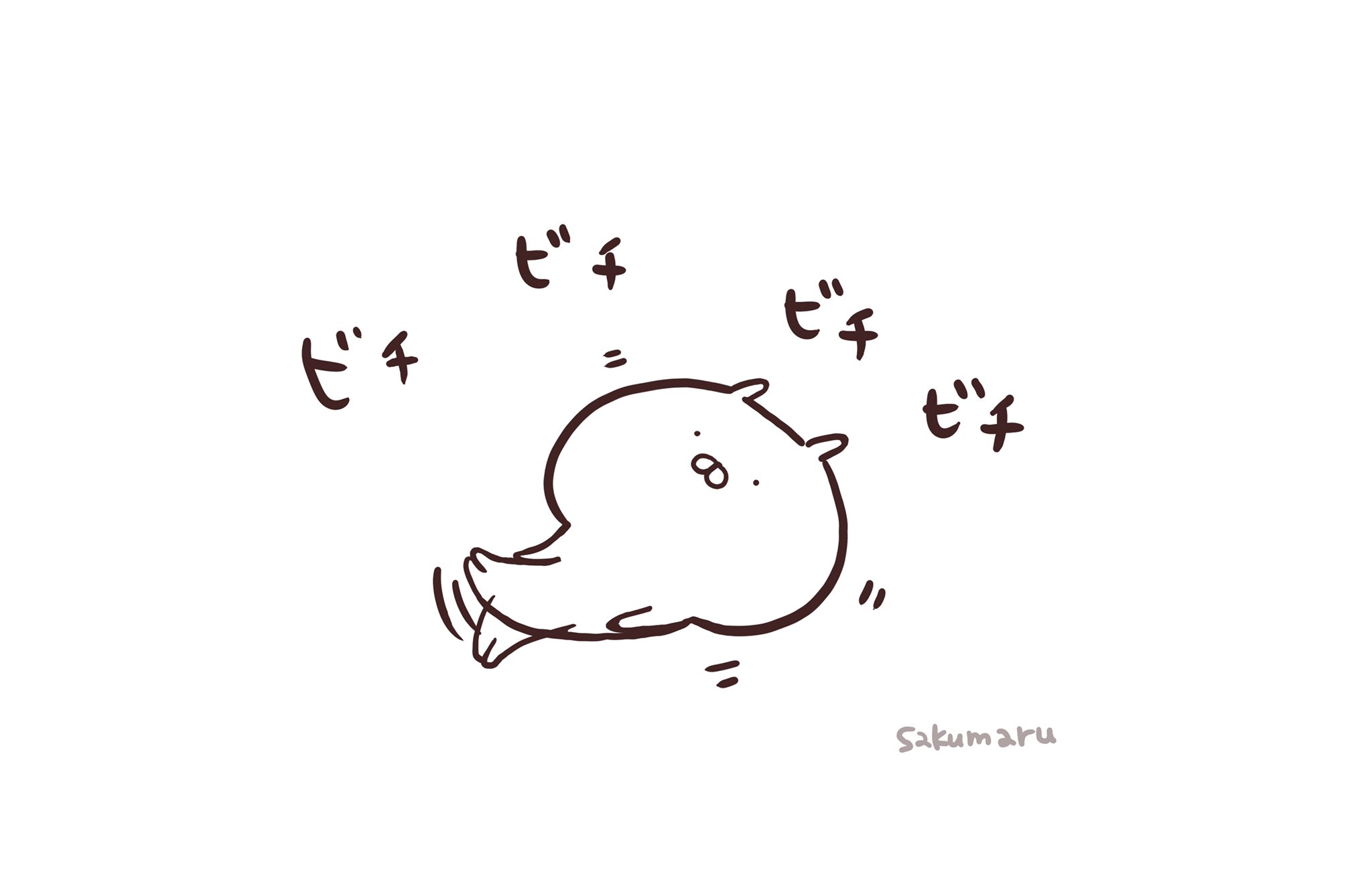 Sakumaru まいにちうさまる 活きが良い