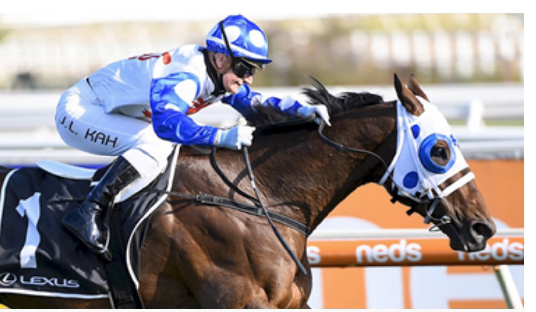 #alwaysstridefree with Jamie Kah on board. Love this little saddle which was hand made by Peter.