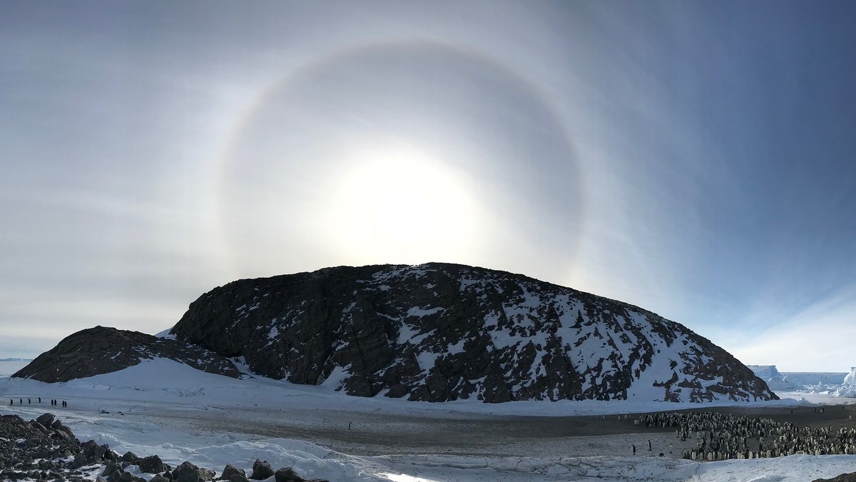 Sun halo provides a dramatic backdrop for the emperor penguins in front of Claude Bernard Island; the view from Dumont D’Urville Station #penguins #Antarctica @_IPEV @meteofrance #Antarctica2020 pic @FGourand