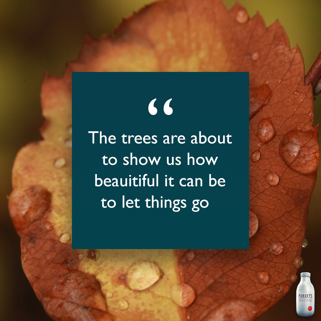 The beauty in nature can remind us of the the beauty in ourselves 
#worldmentalhealthday