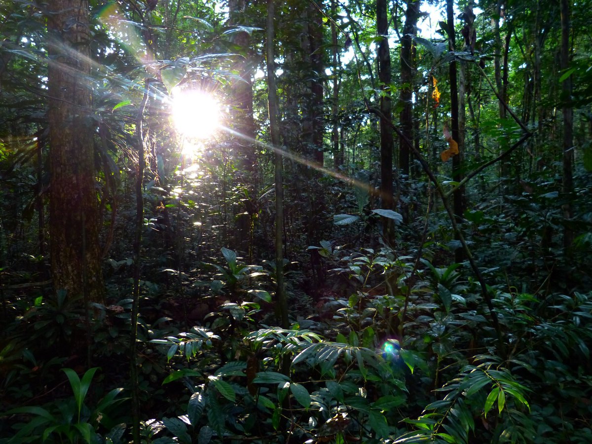 I’m very surprised and pleased to be awarded a CBE in the #QueensBirthdayHonours today. I hope in some small way it is recognition for the importance of treasuring and enhancing the natural world in our quest for a thriving and just planet