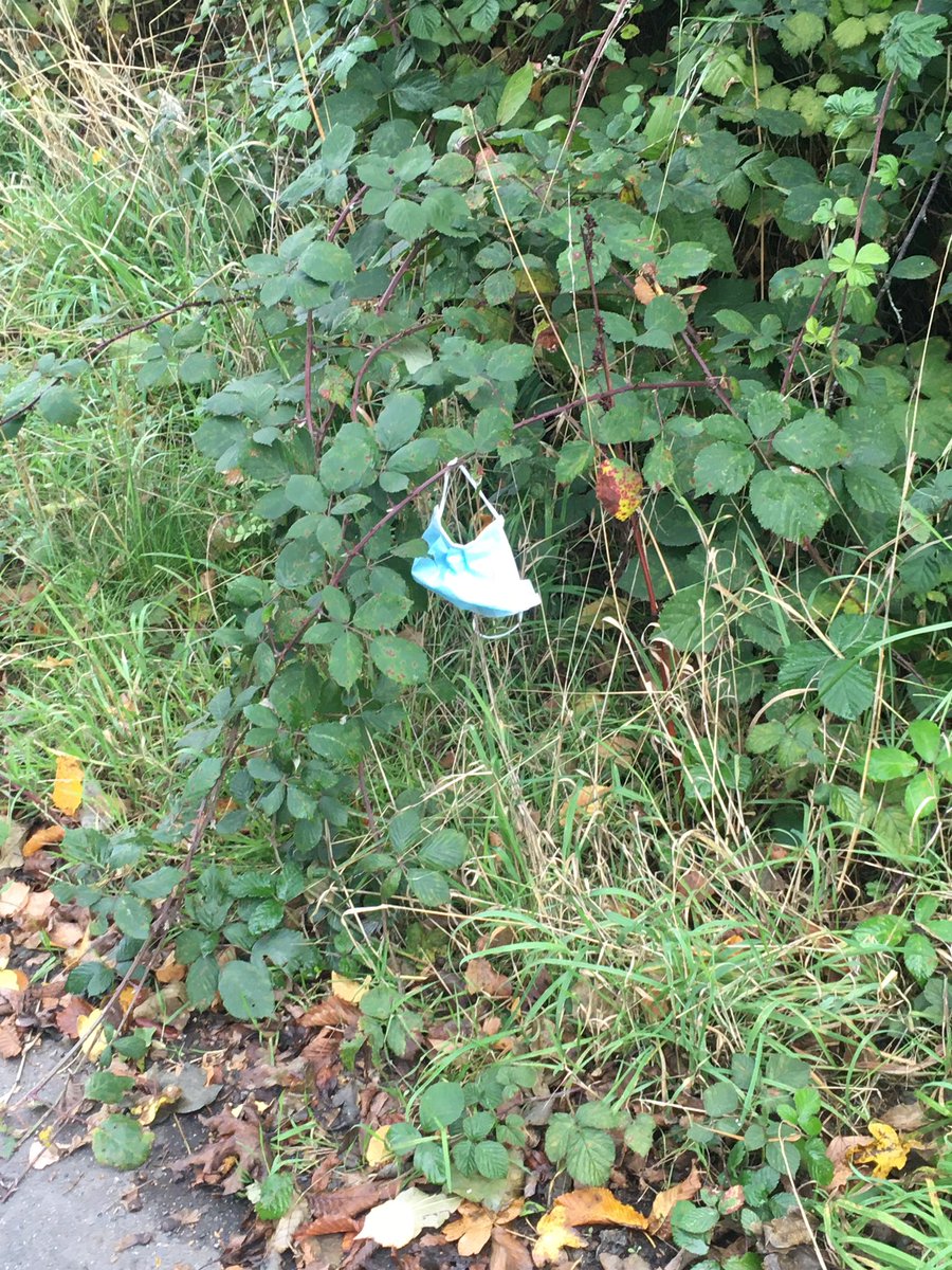 Is this the new plastic bag !! They’re everywhere