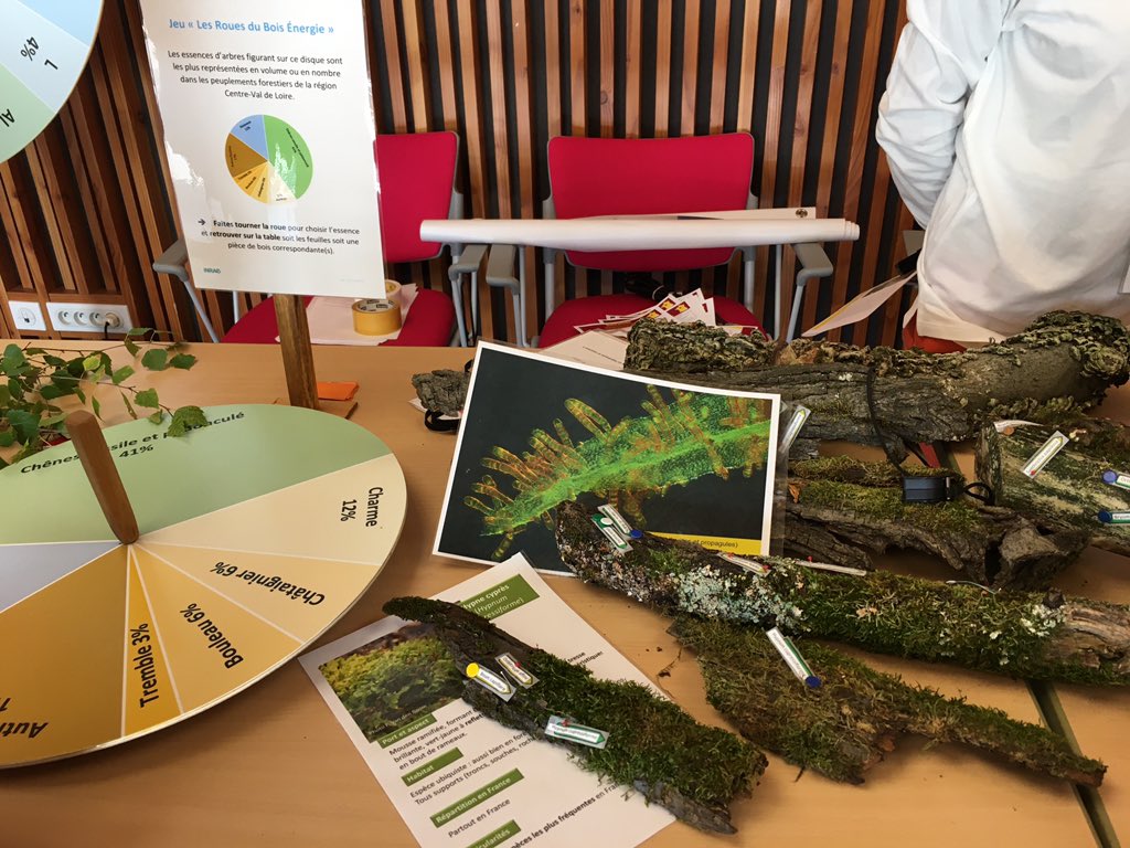 _CentreSciences's tweet photo. Apprenons en plus sur la filière forêt-bois en région Centre Val de Loire 

Avec le stand de l’Unité de Recherche Écosystèmes Forestier du Centre INRAE Val de Loire site de Nogent-sur-Vernisson 

@INRAE_VDL @FeteScience @RCValdeLoire 

#FDS2020 #inrae #bois #energie https://t.co/dEqgatLNme