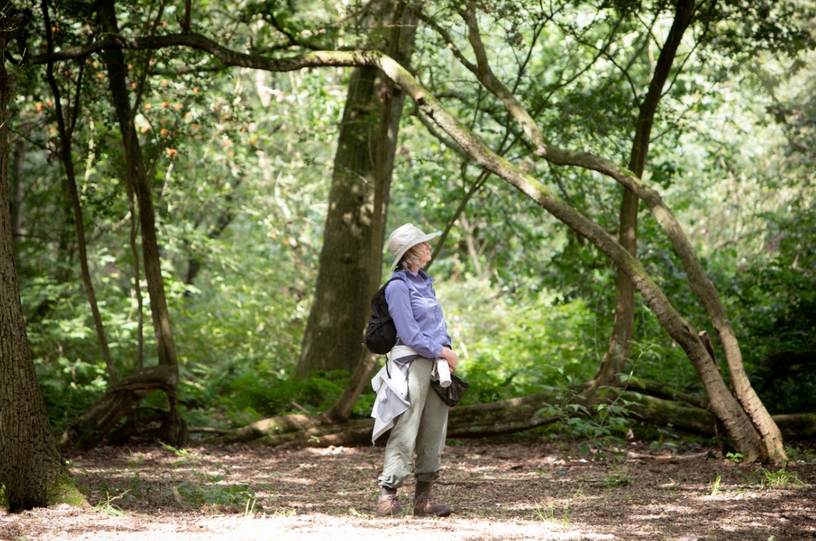 NatForestCo's tweet photo. Today is #WorldMentalHealthDay
Did you know that spending time outdoors and bringing nature into our everyday lives can benefit both our mental and physical wellbeing? Going out for a walk can help boost our mood, reduce stress and allow us to feel more relaxed. 🌲💚 https://t.co/QWTBN9rueN