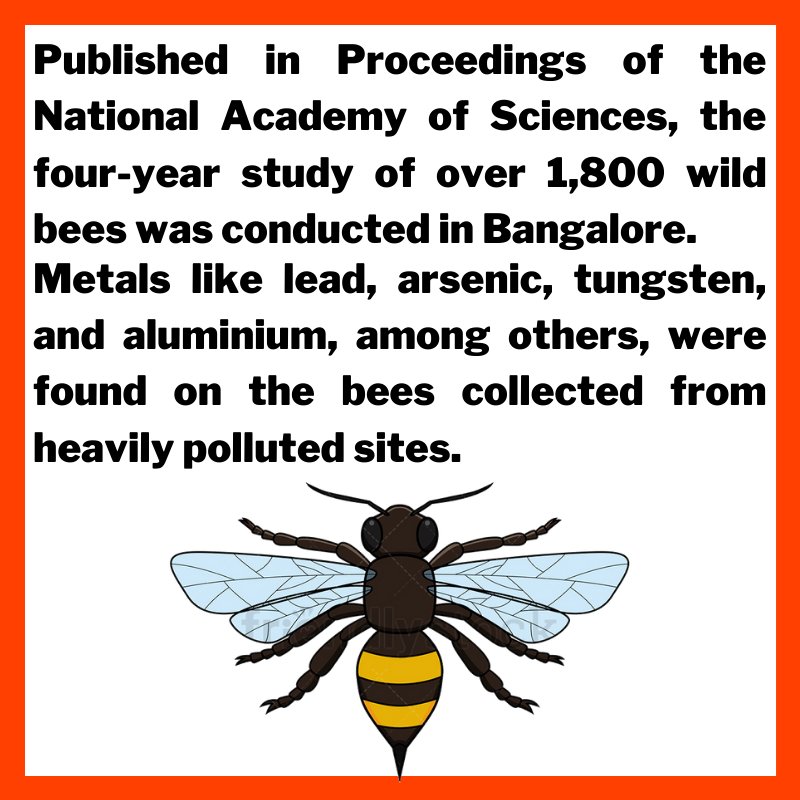 Metals like lead, arsenic, tungsten, and aluminium, among others, were found on the bees collected from heavily polluted sites. “