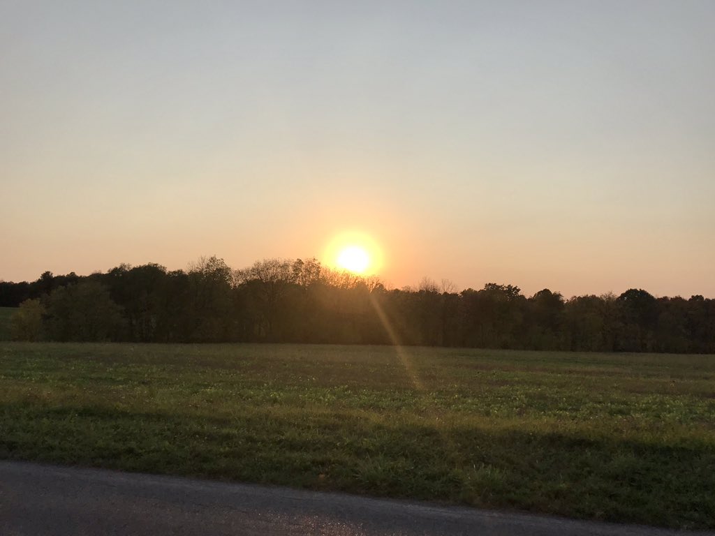 Laura FitzGerald tweet media