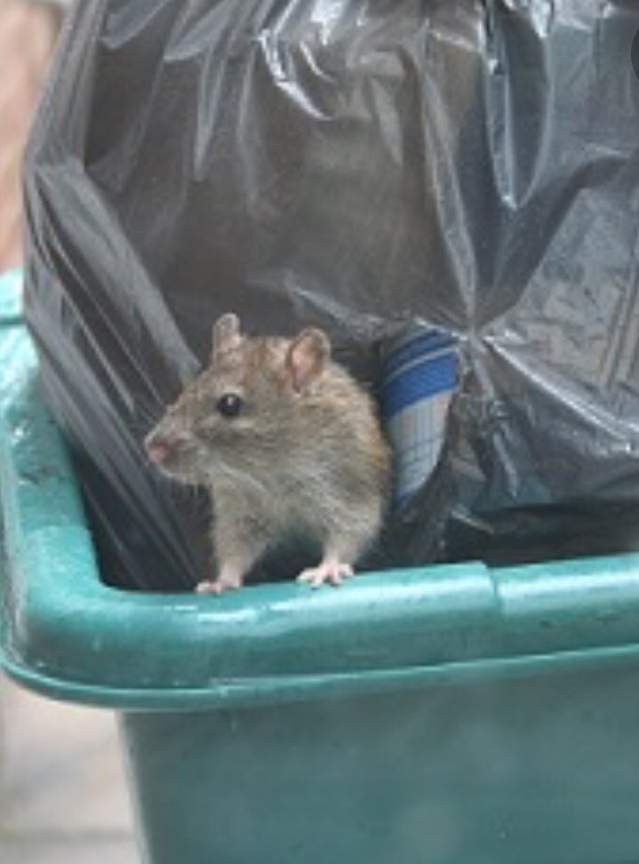 SuttonCoalfield's tweet image. How it started.............How it ended