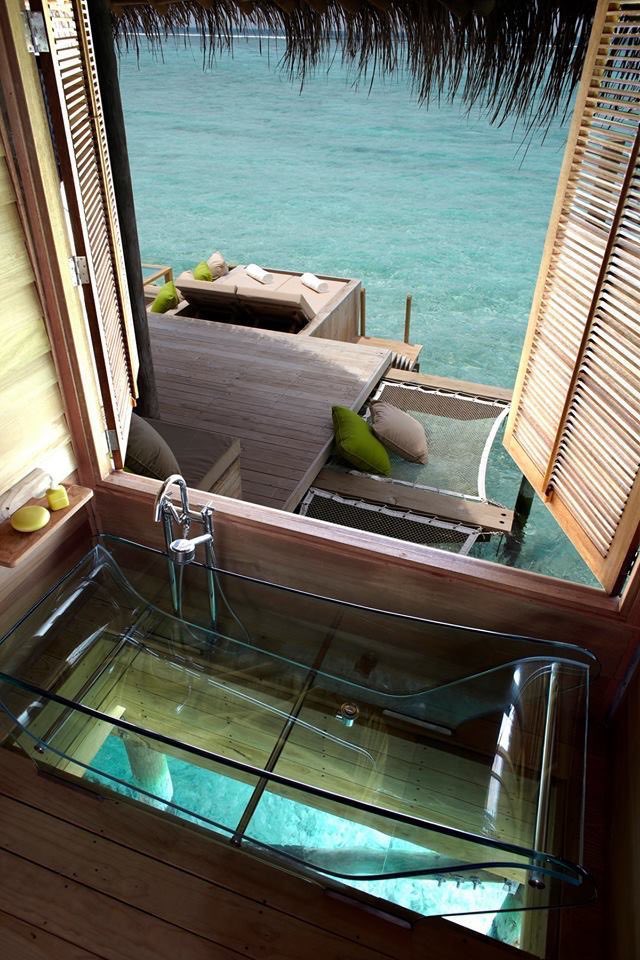 INTERIORPORN1's tweet image. Views from Bora Bora 🥰