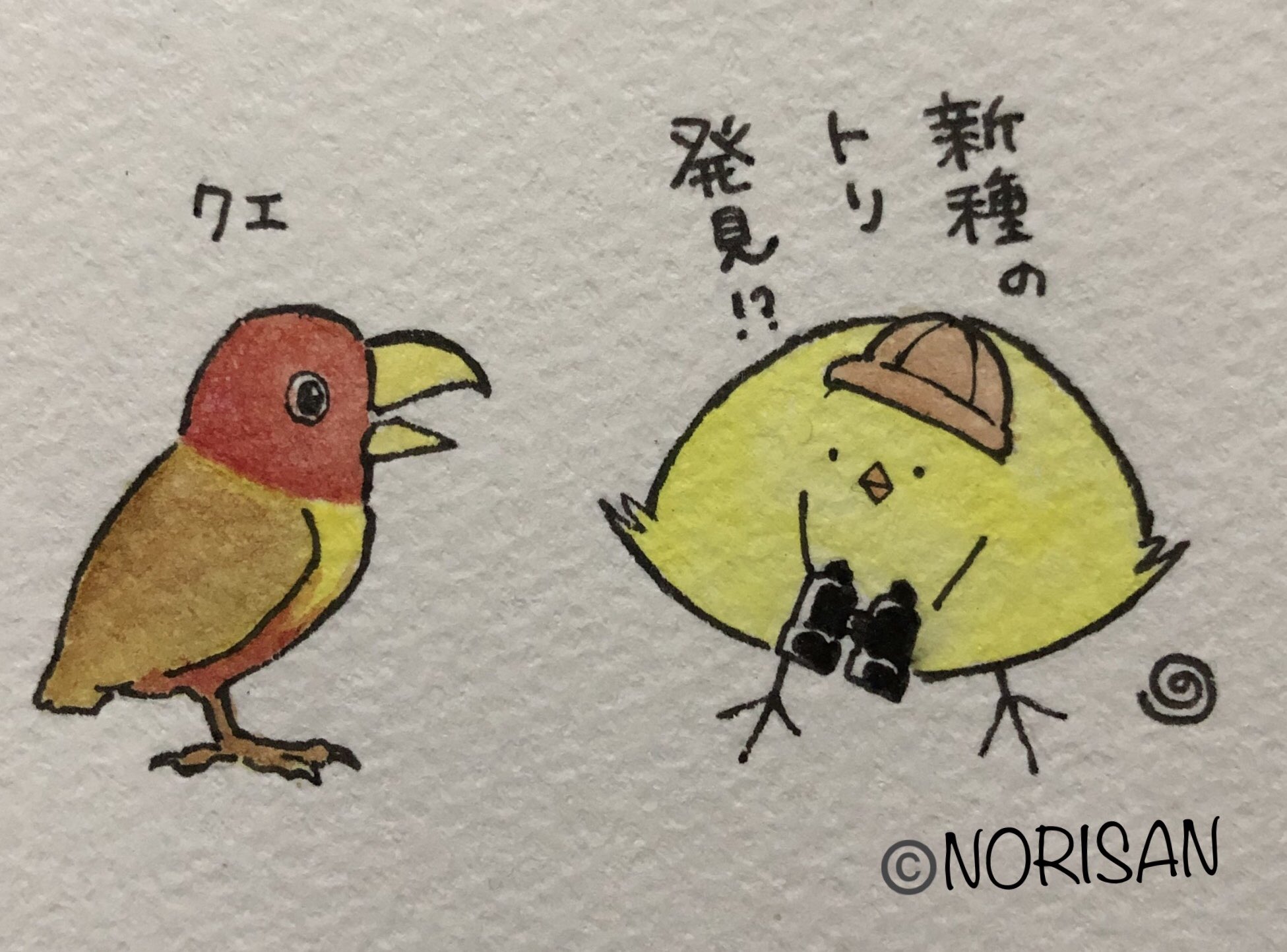 Norisan 鳥マルセイユタロット キョロちゃんのイラストにたくさんのイイネとrtありがとうございます リアルでも可愛いだろうなと思い描きました 1日1レモンちゃん Norisan Illustration カナリヤ カナリア キョロちゃん T Co