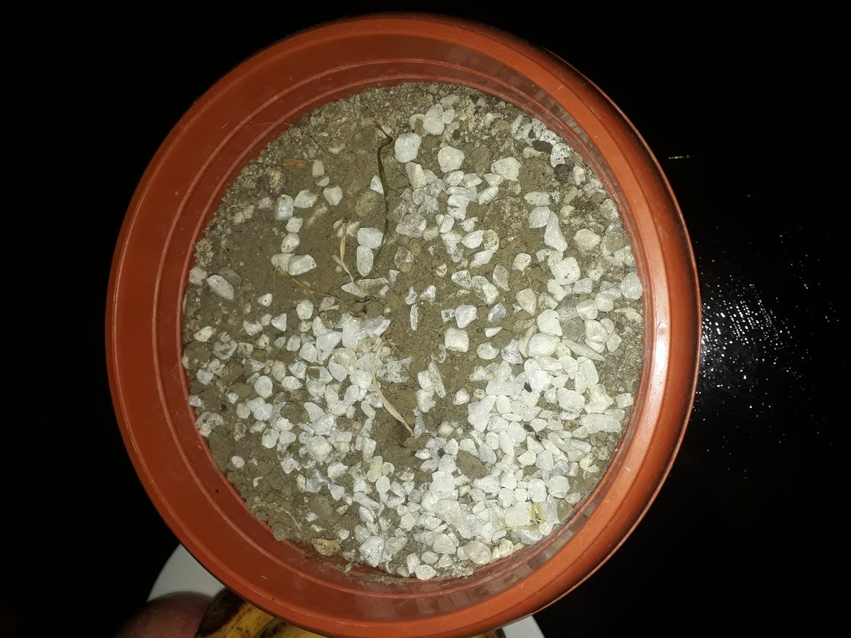 Not for me 😭😭😭 by <a href="/MissMarisRacal/">Maris Racal</a>