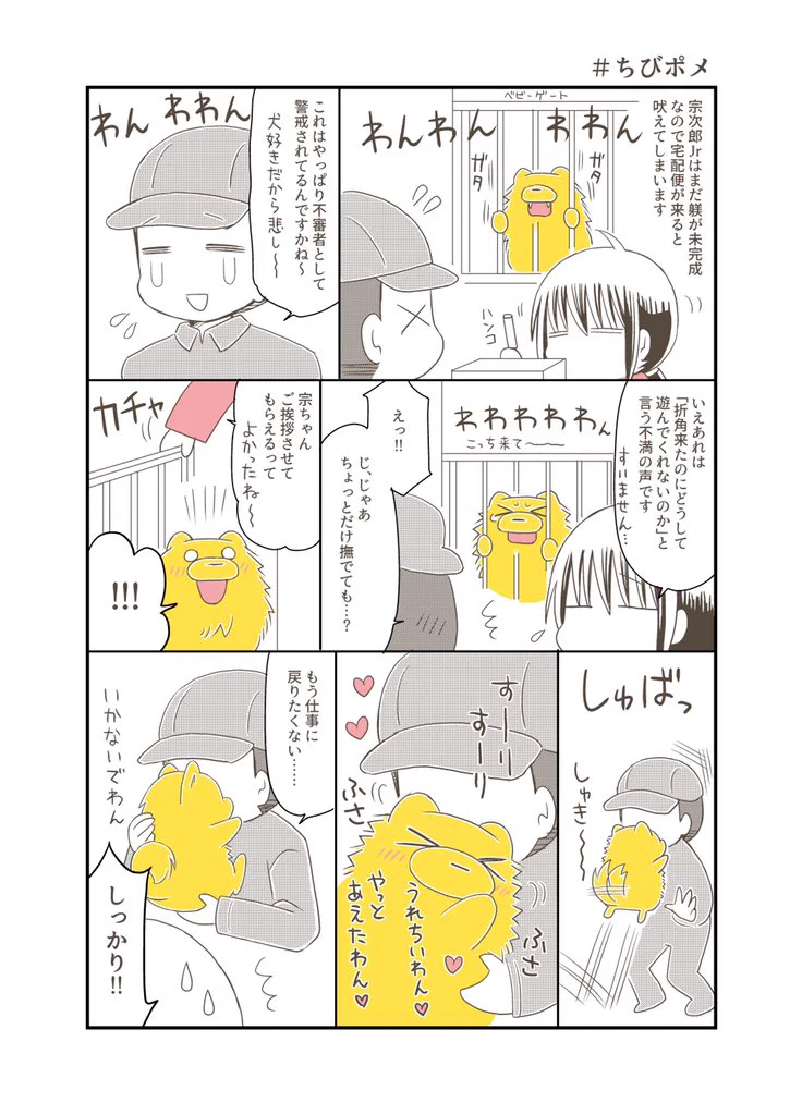 人好きなポメVS犬好きな宅配便のお兄さん！可愛すぎる2人に癒される！
