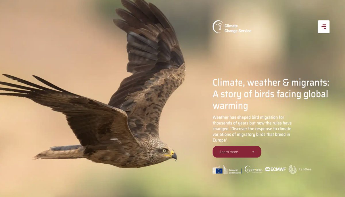 Fundación Migres (@fundacionmigres) on Twitter photo Happy #WorldMigratoryBirdDay! We have developed the #Copernicus Service app on behalf of the <a href="/EU_Commission/">European Commission</a> which uses data implemented by <a href="/CopernicusECMWF/">Copernicus ECMWF</a> and shows how migration dates are shifting due to human-induced changes in the #EarthsClimate. <a href="/WMBD/">World Migratory Bird Day</a> bit.ly/c3sbirdsapp Happy #WorldMigratoryBirdDay! We have developed the #Copernicus Service app on behalf of the <a href="/EU_Commission/">European Commission</a> which uses data implemented by <a href="/CopernicusECMWF/">Copernicus ECMWF</a> and shows how migration dates are shifting due to human-induced changes in the #EarthsClimate. <a href="/WMBD/">World Migratory Bird Day</a> bit.ly/c3sbirdsapp