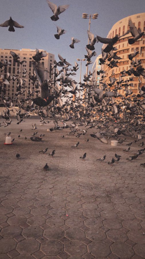 #بدوي_

كل شخص جت عينه ع هالتغريدة روح ان شاء الله مايمر هاليوم الا وربي جابر بخاطرك ومحقق لك امانيك وربي يسعدك دنيا واخره قل امين❤️
