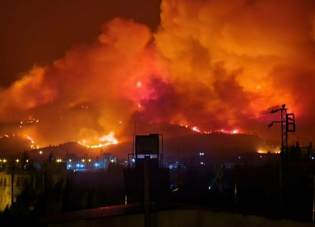 80 yaşındaki bir kadın diyor ki;

- Oğlum, rahmetli eşimin fotoğraflarını bile alamadım!

#HatayYanıyor