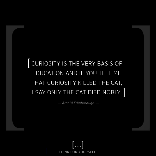 thinkFyourself's tweet photo. [ Curiosity is the very basis of education and if you tell me that curiosity killed the cat, I say only the cat died nobly. ] ― Arnold Edinborough

#thinkforyourself #quotesoftheday #quote #thinking #mindset #mindfulness #thoughts #inspiration #words #cats #curiosity https://t.co/wxygbjuMvZ