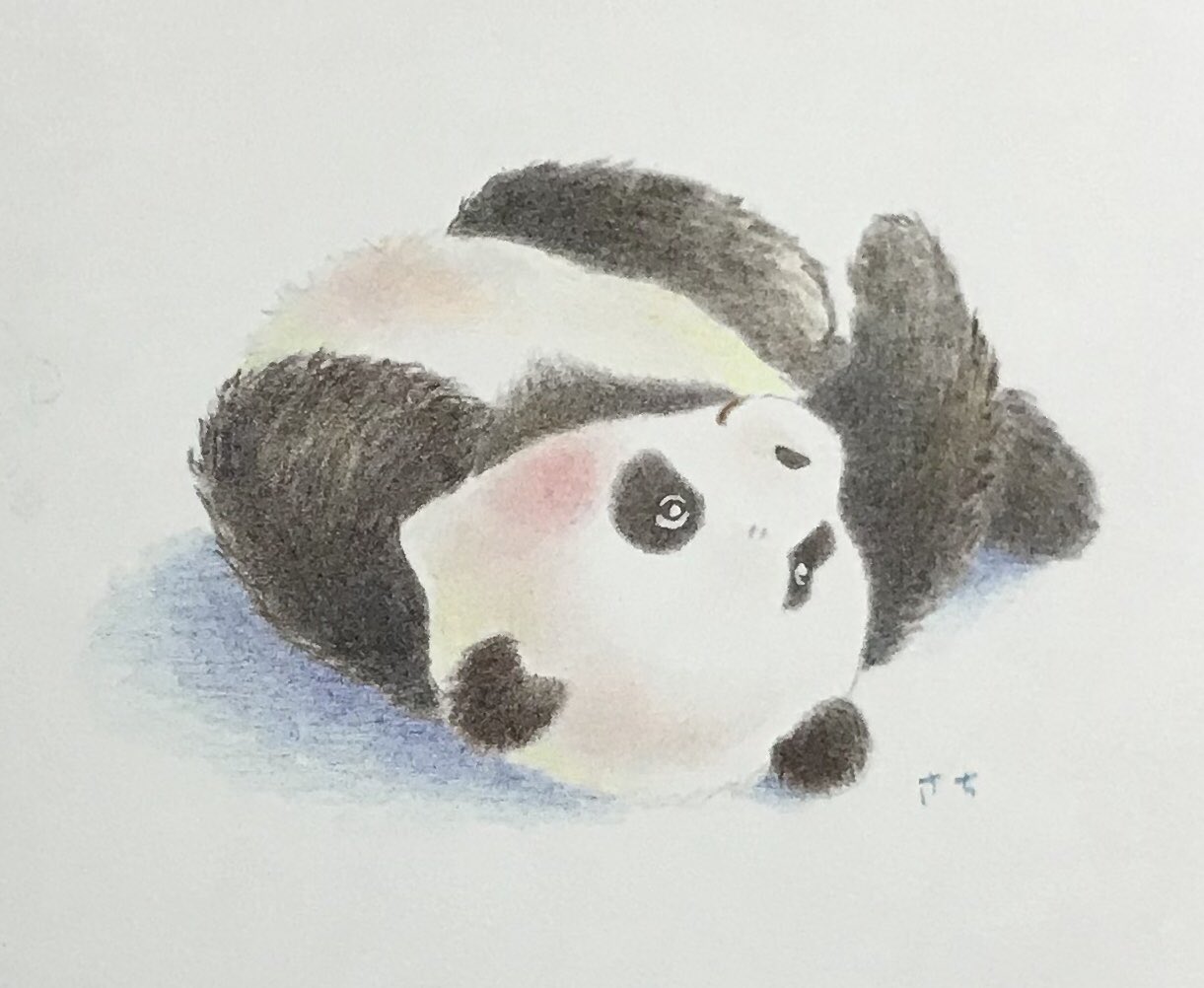 咲 パンダさん描きます ころころ子パンダ モデルは彩ちゃん 自由なポーズが無邪気で可愛いと思って描きました パンダ 彩浜 動物イラスト 色鉛筆画 T Co 44adqwfmn2 Twitter