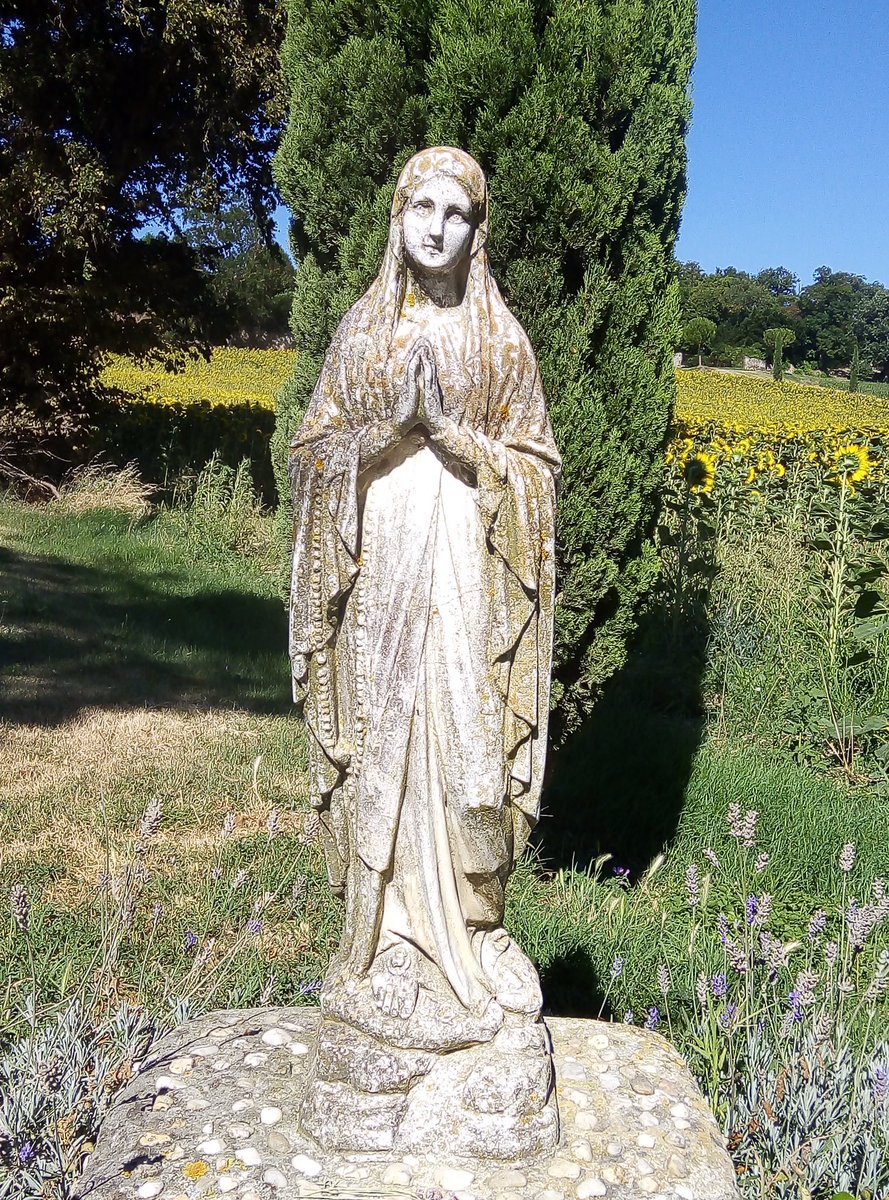 RosairedeFrance's tweet photo. Vierge clémente, priez pour nous 
Saint Martin Lalande (11) via Marie-Anne https://t.co/bAdIXqXq2b