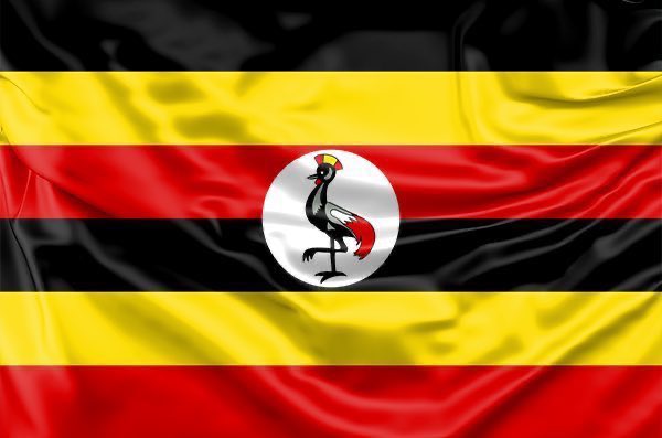 ConsultantsKhm's tweet photo. The Flag🇺🇬          The Face mask

#StaySafe https://t.co/jdB9qYxWZI