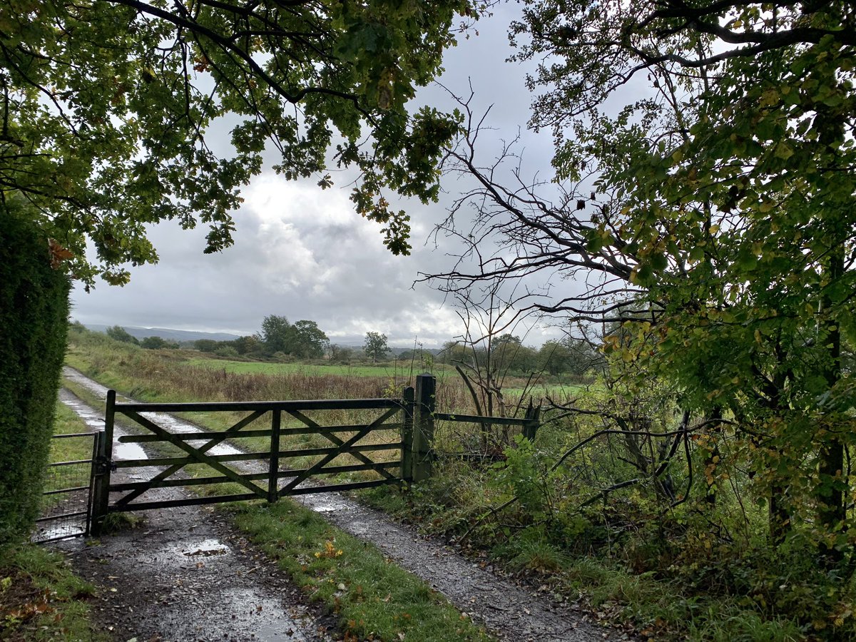 stepupformarie's tweet image. Day 10 of stepping up for Marie 👣👣👣