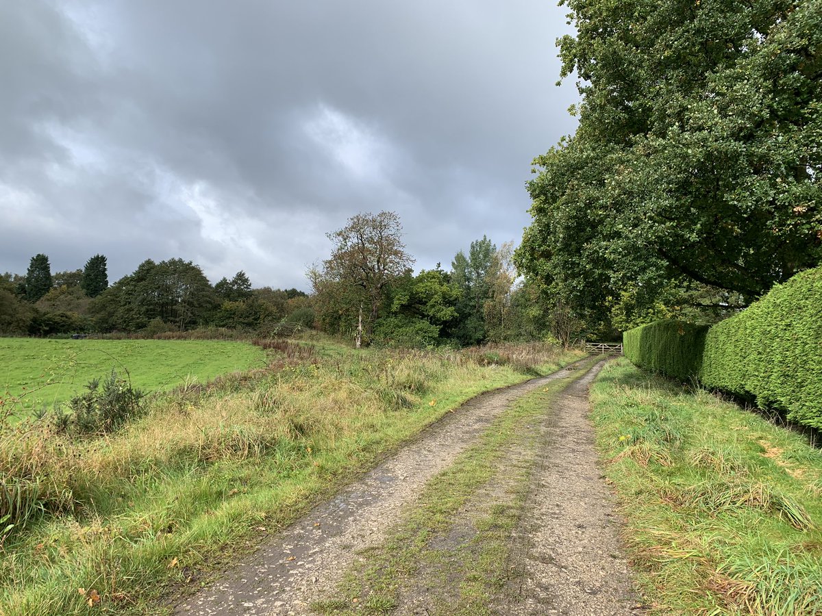 stepupformarie's tweet image. Day 10 of stepping up for Marie 👣👣👣