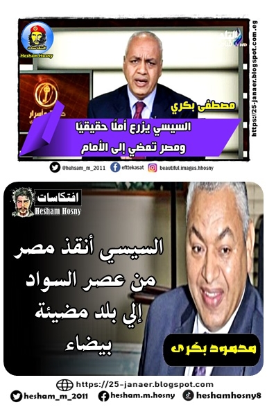 مصطفى بكرى واخوة محمود بكرى