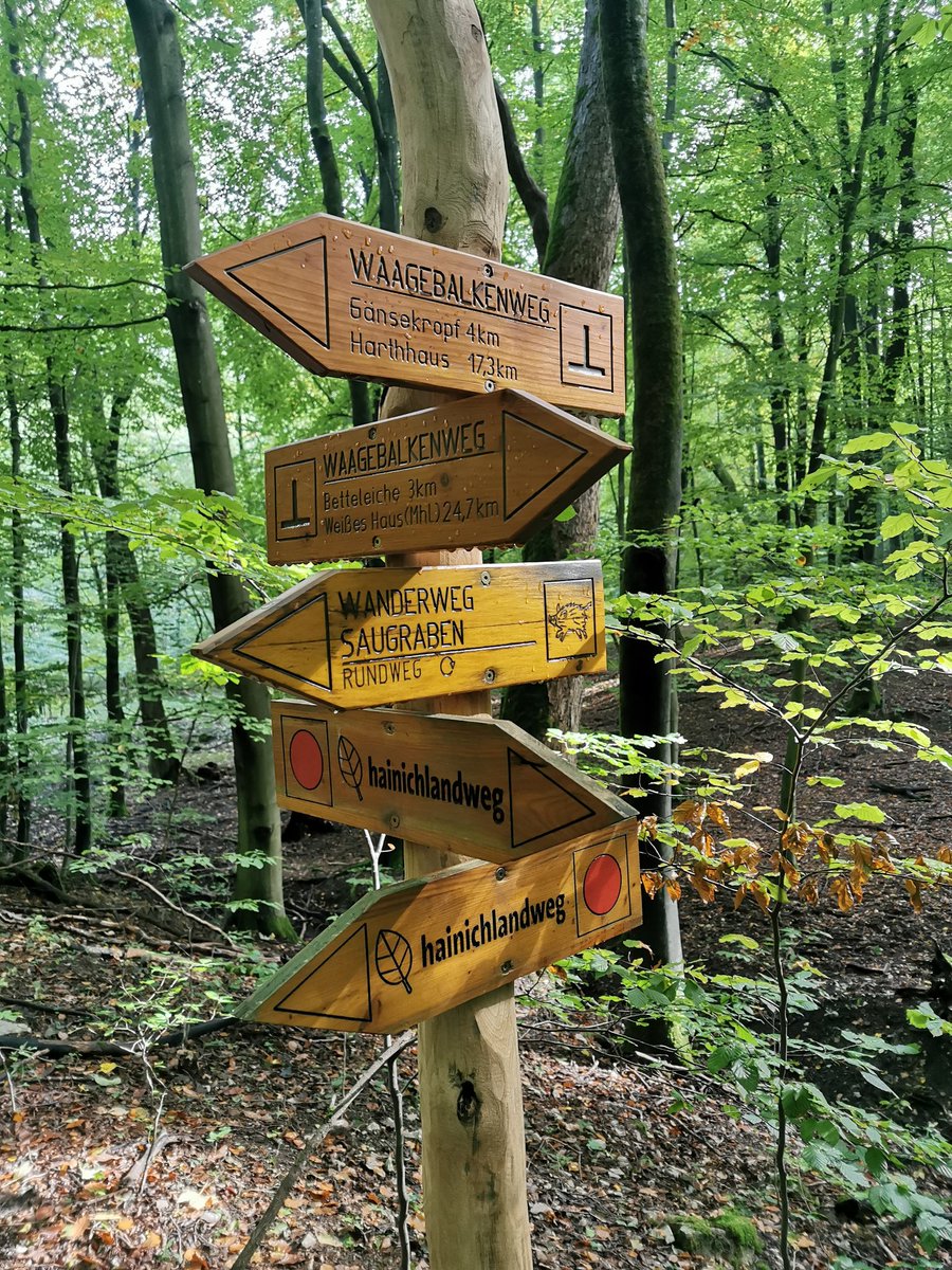 PbW_LVTh's tweet photo. Bis die Füße brennen. https://t.co/PiRyVDEfiS