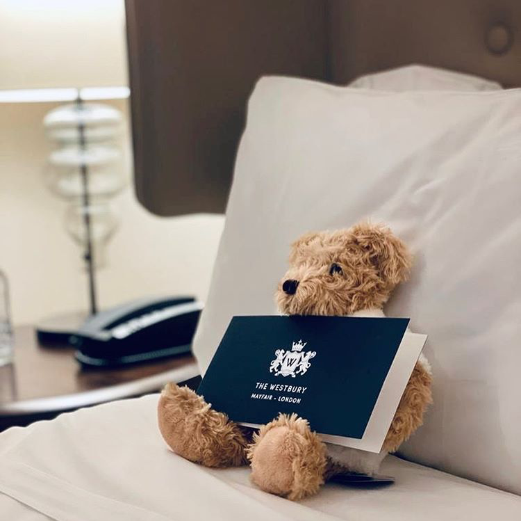 Wonders of Comfort. Invite a little comfort into your home from your favourite hotel brands with 30% off our Marriott Boutiques. #WeekofWonders #WestburyMayfair #MBV #Comfort
lux.ht/6019G2jZ7
<a href="/LuxCollection/">Luxury Collection</a> <a href="/MarriottIntl/">Marriott International</a> <a href="/MarriottBonvoy/">Marriott Bonvoy</a>
Photo via IG @ gobespoketravel