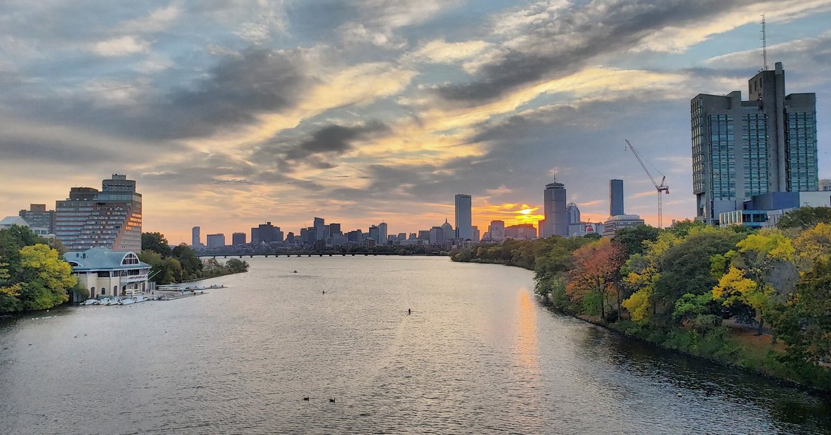 OnlyInBOS's tweet image. Today is World Mental Health Day. 

You matter.

We need you.

Let's break the taboos and stigmas on mental health by supporting each other and by speaking openly about mental health.

You are not alone in this.

💚