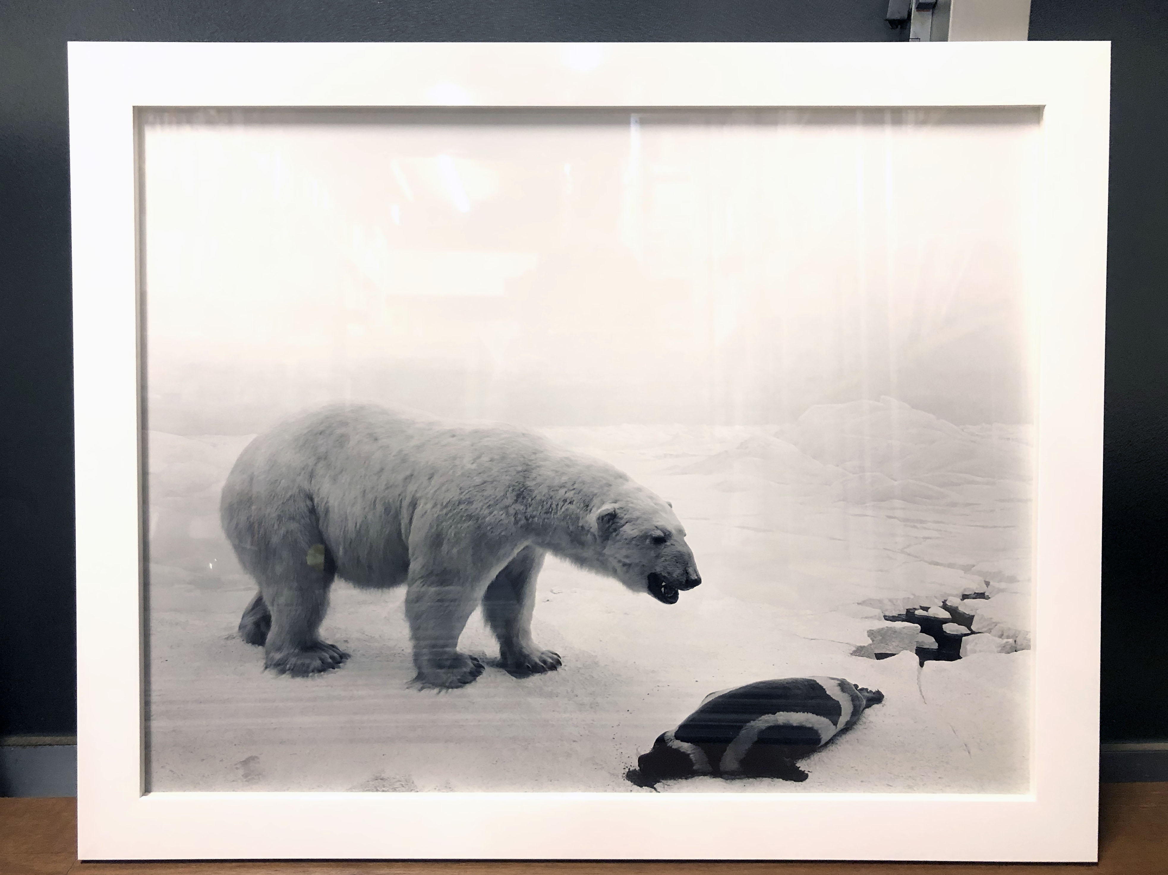 杉本博司 ポスター POLAR BEAR SUGIMOTO シロクマ (ポスター)Polar Bear (poster)|杉本博司Hiroshi Sugimoto