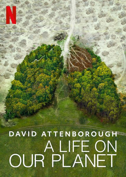 We’ve come this far,
because we are the smartest creatures that have ever lived. 
But to continue, we require more than intelligence. 
We require wisdom!’
David Attenborough in #alifeonourplanet #awareness #grounding #aarden