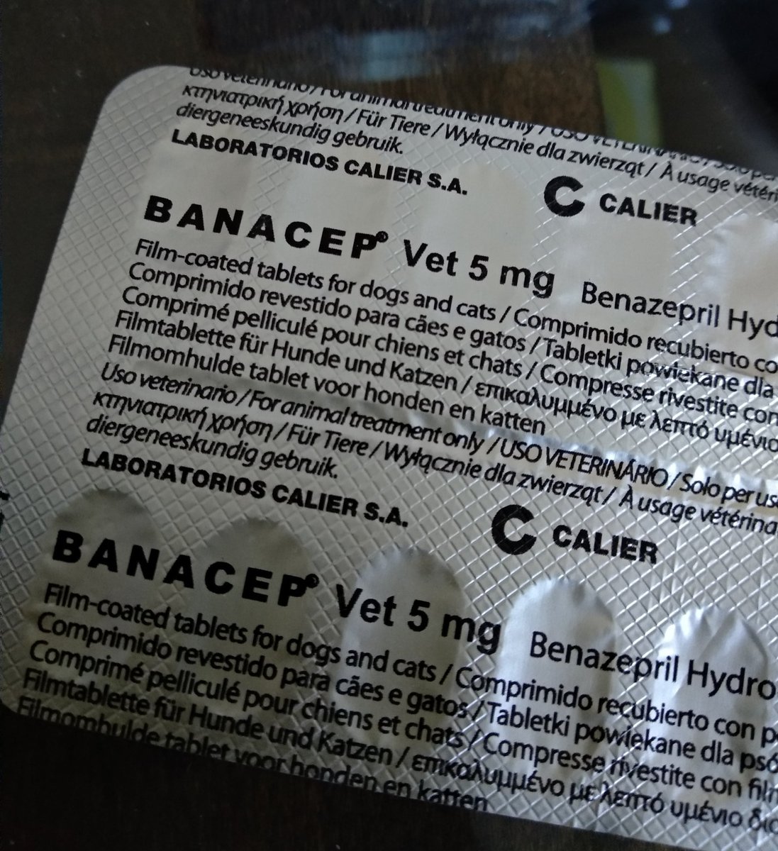 ireneweasley__'s tweet photo. Seguro que algún gato lo necesita. Son dos sacos de pienso sin abrir, uno abierto y varios sobres de comida blanda. También tengo unas pastillas.

Puedo llevarla a granada ciudad y alrededores 🥰🥰 https://t.co/pJzXe6t3bs