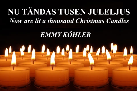 Lake Music tweet media