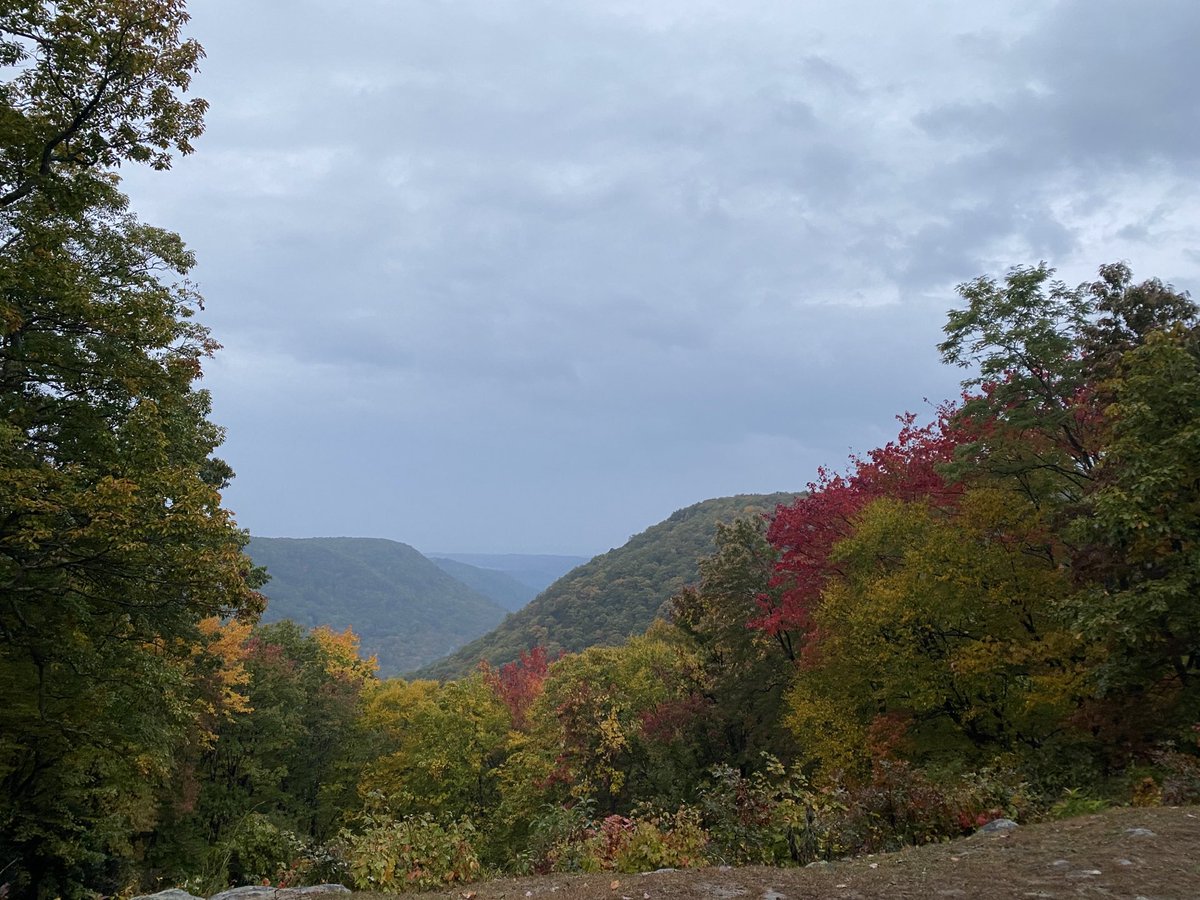 APTiming's tweet image. Good morning from the finish line at Sticks and Stones 15k! Fall is in the air at Babcock State Park.
