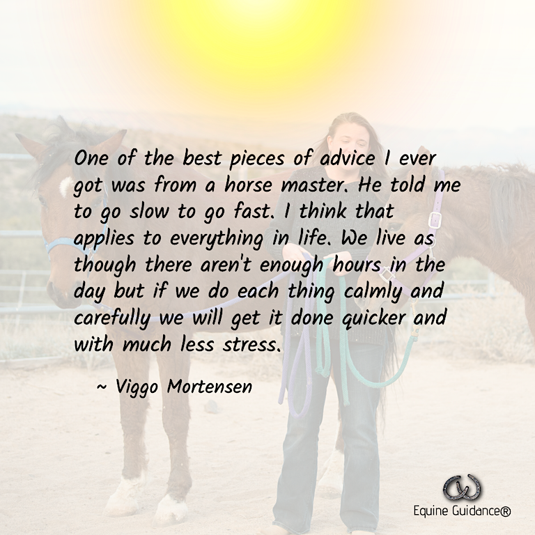 BelleEquine's tweet photo. Happy Monday!
Take your time so it takes less time!
Have a magical week. 💖🐴🌞✨🎈
#EquineGuidance #BelleShook #Sedona #ViggoMortensen #Horsesheal #bashkircurly #HumanPotential #InterpersonalEffectiveness #Happiness #TakeYourTime #FeelIntoIt #EmotionalIntelligence https://t.co/IZpts8Txou