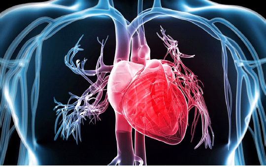 RBandH's tweet photo. Thrilled that both Royal Brompton and Harefield hospitals have been named in @Newsweek’s top cardiology hospitals worldwide. These fantastic results are based on recommendations from 40,000 medical experts – a testament to our world-class care. Read more: https://t.co/3jrhvrKkQa https://t.co/1eyHng9qKm