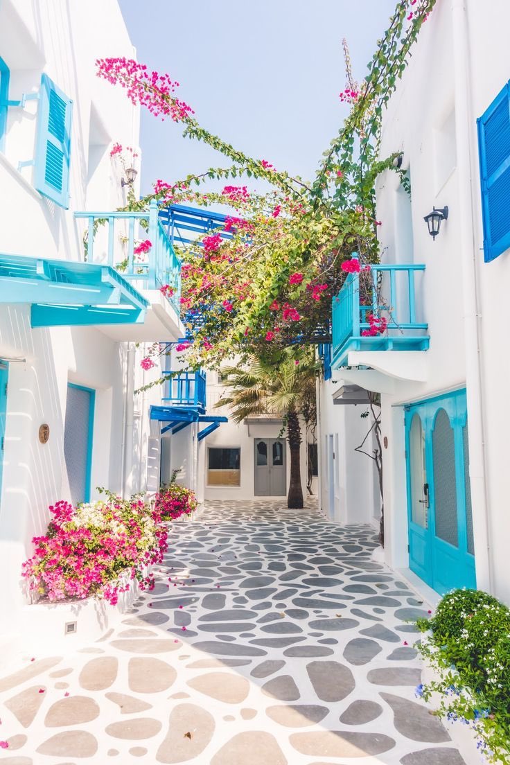 barndominium_us's tweet photo. What I wouldn’t do to live in Greece https://t.co/9FuNJT32Jo