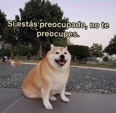 JoseAAriasT's tweet photo. @InesPresa https://t.co/KylI8totRw