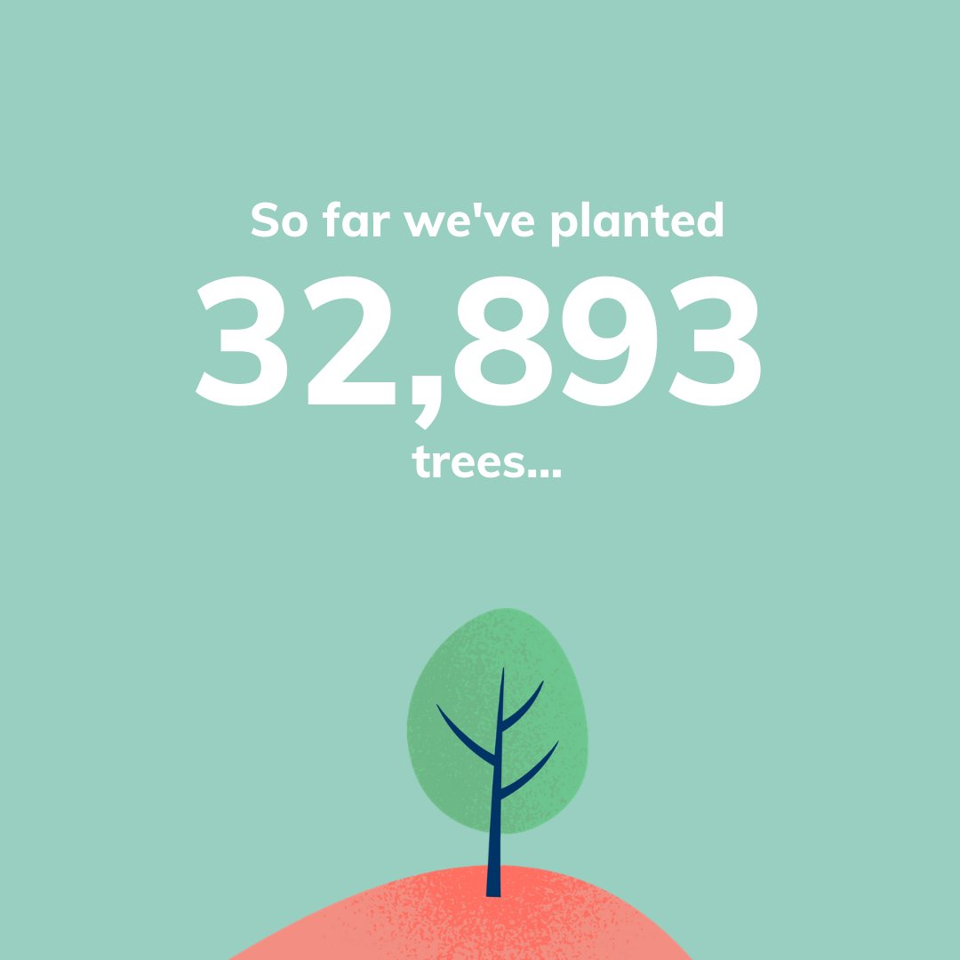 goodbag7's tweet photo. Thanks to you guys, we’ve managed to plant more than 32,893 trees and fish 29,584 plastic bags out of our oceans! Thank you for helping us make the world a little better every day! ⁣#goodbag #begood #plantingtrees #collectingplasticwaste https://t.co/bfTzk81g2O