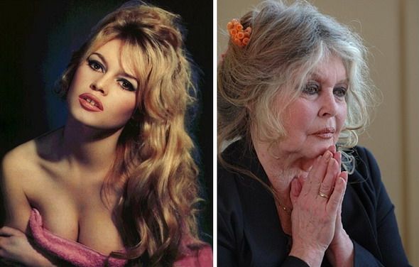 Happy Birthday, Brigitte Bardot. 