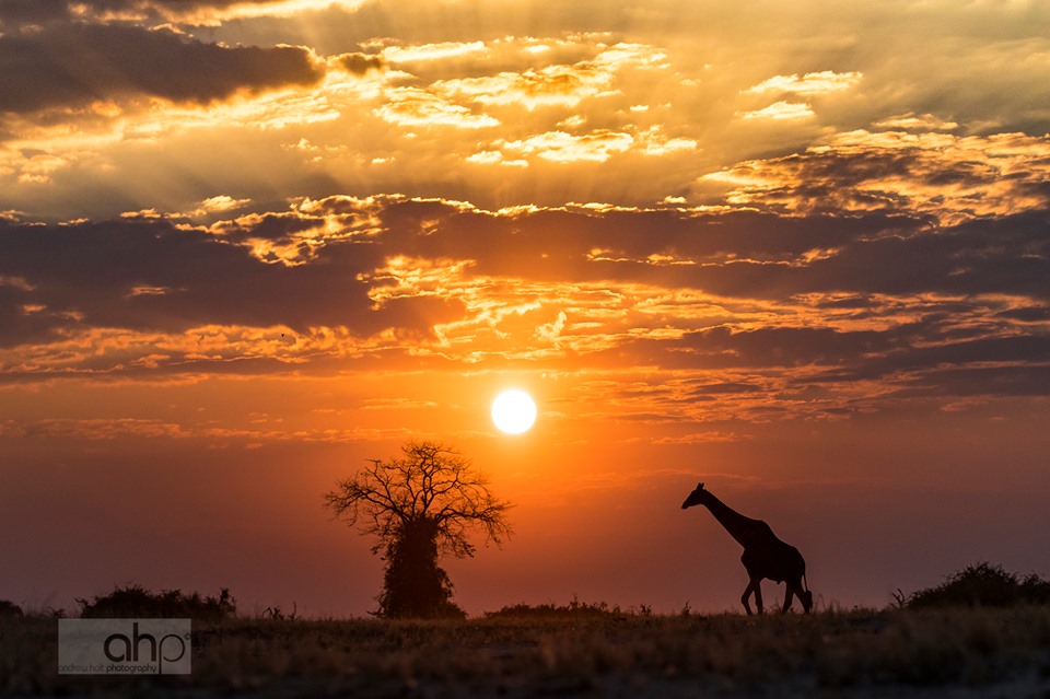 TEA12pm's tweet photo. That #TravelFeeling! by Andrew Holt https://t.co/bFReGHqdQg